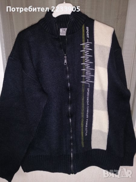 Мъжка жилетка , снимка 1