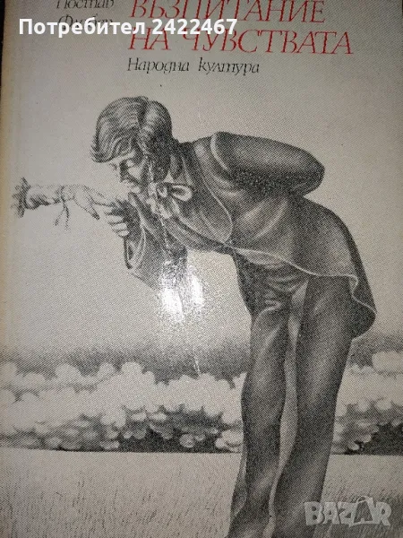 Книга Възпитание на чувствата.Автор Гюстав Флобер, снимка 1