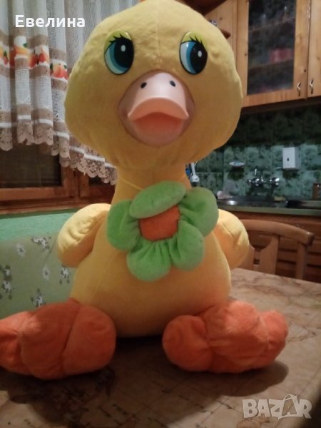 Голямо пате, снимка 1