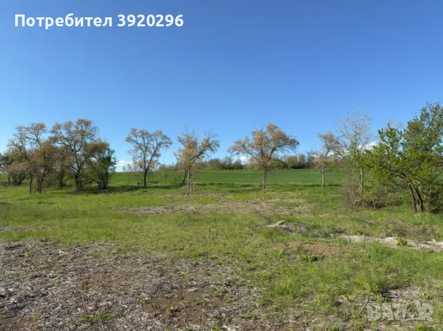 УПИ на язовир Пчелина, снимка 7 - Парцели - 50273940