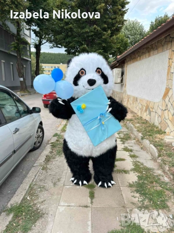 🎁Изненада със Стич🐾, гигантска бяла мечка🐻‍❄️, панда🐼, котка🐱 или Чебурашка🐭, снимка 3 - Други услуги - 52303245