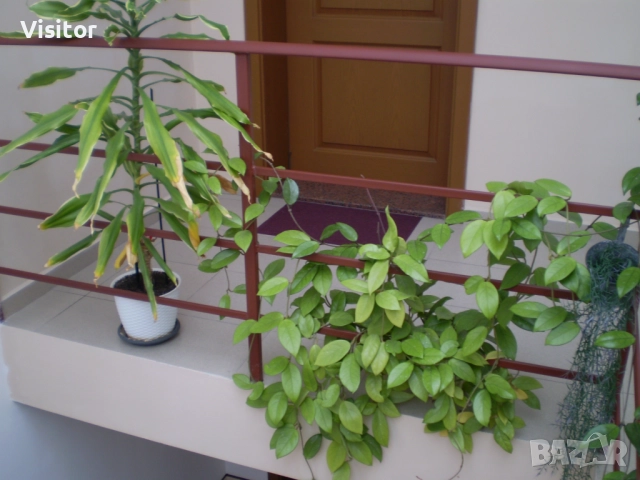 фотоапарат Olympus FE-210    7.1 МРх, снимка 17 - Фотоапарати - 52676544