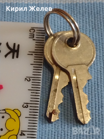 Две малки ключета за катинар за КОЛЕКЦИЯ ДЕКОРАЦИЯ АРТ ИНСТАЛАЦИЯ 40943, снимка 3 - Колекции - 44872539