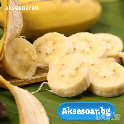 Нови 50 бр. Семена от Бонсай бананово дърво екзотични редки плодове палма за декорация на градината , снимка 6 - Сортови семена и луковици - 53428692