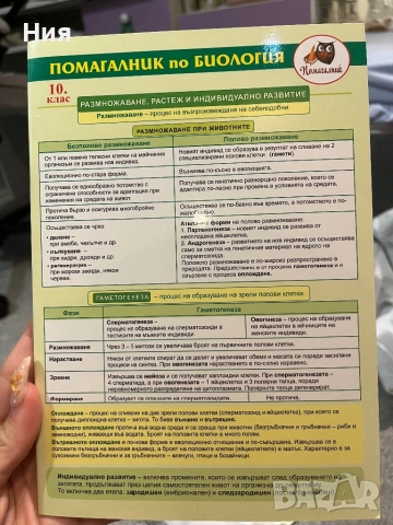 Помагалник по Биология- Домино