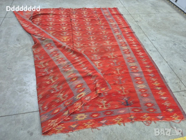 Много стар Чипровски килим, снимка 8 - Други ценни предмети - 53292803