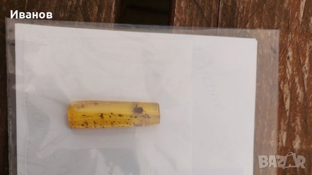 Уникален Балтийски кехлибар с фосил отлично съхранен паяк Araneae , снимка 4 - Други - 33608548