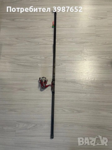 Болонеза и макара