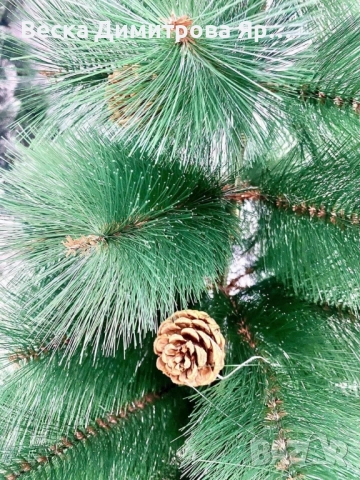 Елха естествено зелена с шишарки, снимка 8 - Декорация за дома - 52262837