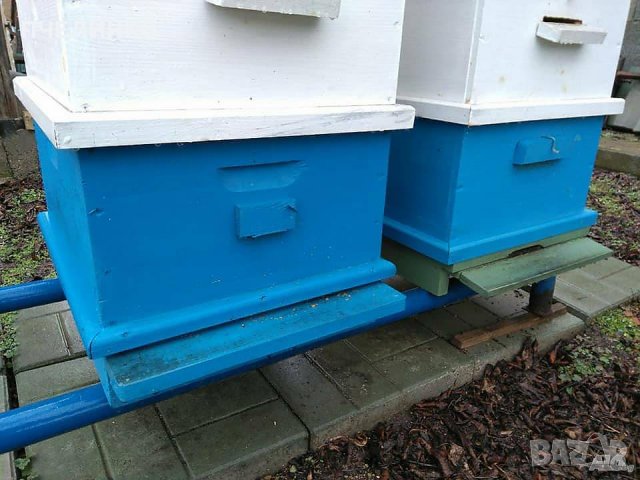 Боя за кошери 5 кг. 