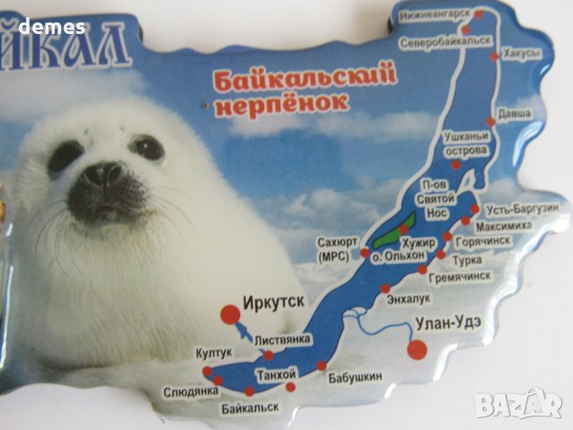  Автентичен магнит от езерото Байкал, Русия-серия, снимка 8 - Други ценни предмети - 28748404