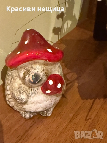 Старо декоративно таралежче