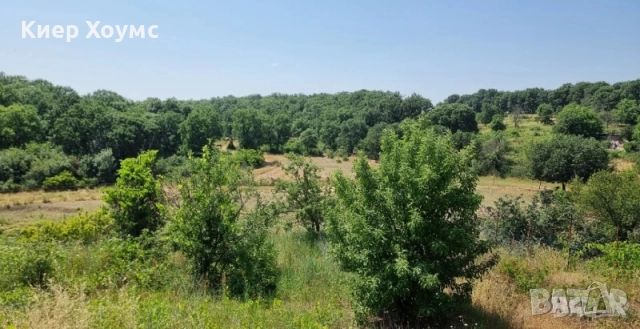 Продавам парцел в в.з Габера Димитровград, снимка 4 - Парцели - 52152147