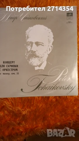 Класическа музика плочи, снимка 6 - Грамофонни плочи - 50475393