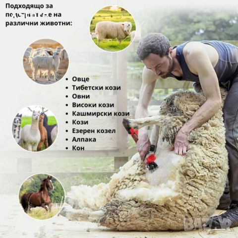 Машина за стригане на овце 