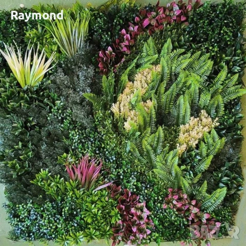 Декоративен Панел 1м² kw2735 – Изкуствена Зеленина с Папрат и Фаларис, UV Защита, снимка 5 - Декорация за дома - 51206199