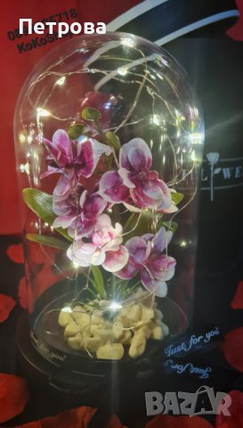 Вечна орхидея в луксозна кутия/орхидея с LED светлини , снимка 2 - Декорация за дома - 44077854