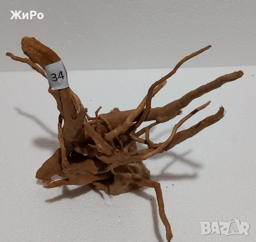 Корен от Азалия /декорация/ 34