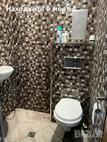 Стая под наем, снимка 6 - Стаи под наем - 53570821