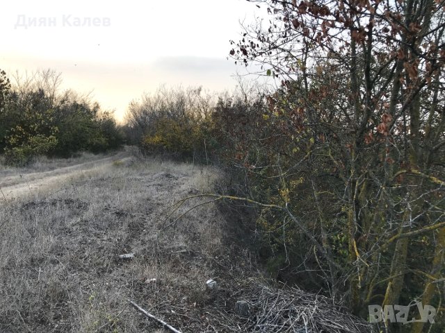 Парцел 1300 кв.м. до варненското езеро, снимка 7 - Парцели - 43729202