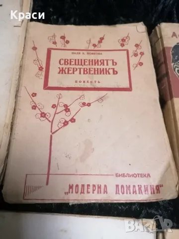 Антикварни книги , снимка 6 - Антикварни и старинни предмети - 49818356