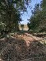 Продава парцел в с.Браниполе, снимка 3