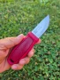 Шведски джобен нож Morakniv Eldris с фиксирано острие и кания,Sandvik , снимка 4