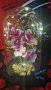 Вечна орхидея в луксозна кутия/орхидея с LED светлини , снимка 2