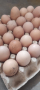 Пресни домашни яйца, снимка 1 - Домашни продукти - 44841713