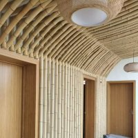 100 броя бамбукови семена от декоративен бамбук Moso Bamboo зелен МОСО БАМБО за декорация и украса b, снимка 4 - Сортови семена и луковици - 37711514