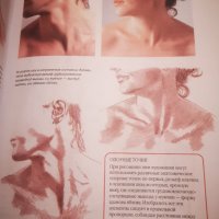 Нова! Работа с натура книга за рисуване на голо човешко тяло на руски, снимка 3 - Специализирана литература - 43250713