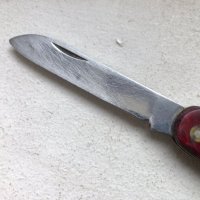 старо ножче 305 "П. ДЕНЕВ", снимка 7 - Ножове - 43348578