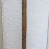  Стар дървен Туристически бастун с 19 метални значки, дърво, снимка 1 - Други ценни предмети - 28951240