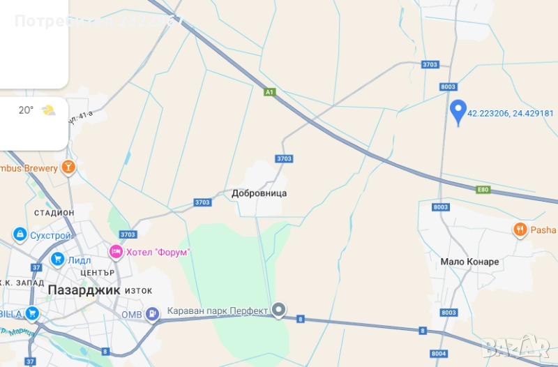 Тикви цигулки 2025, снимка 1