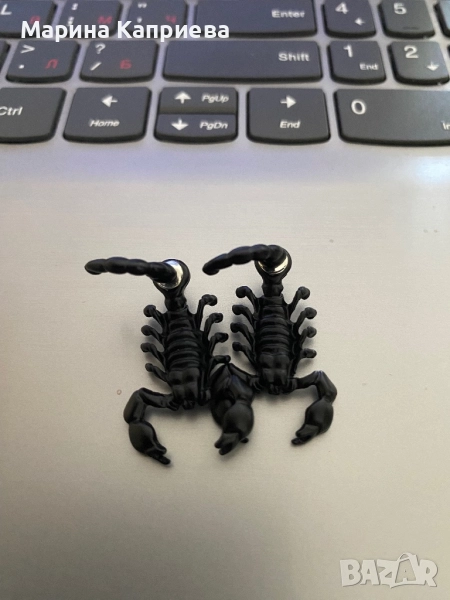 Обеци “Скорпион” /С-58/, снимка 1