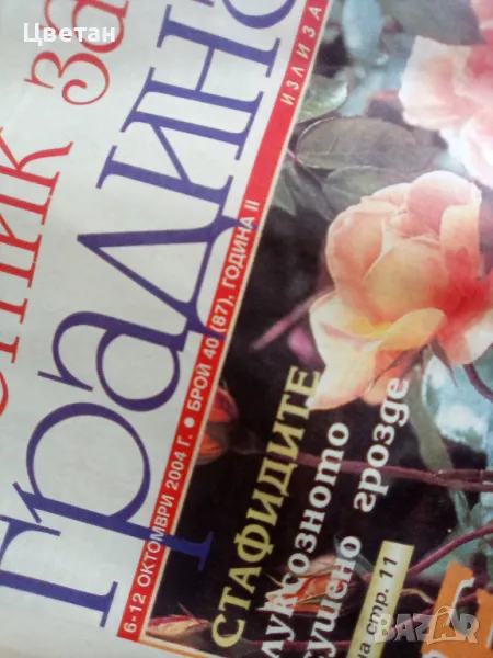 Вестници Градина, антики , снимка 1