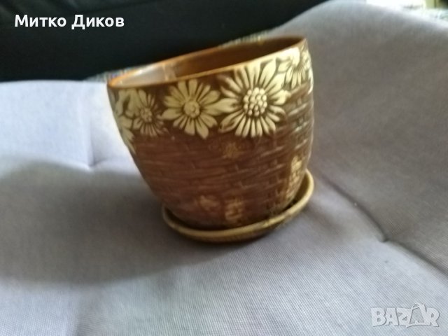 Малка саксийка, снимка 4 - Стайни растения - 44049718