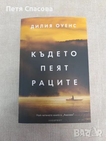 Криминални книги, трилъри, снимка 1