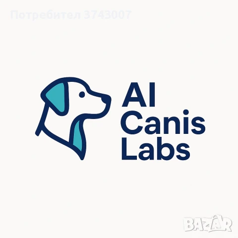 Обучение на кучета, снимка 1