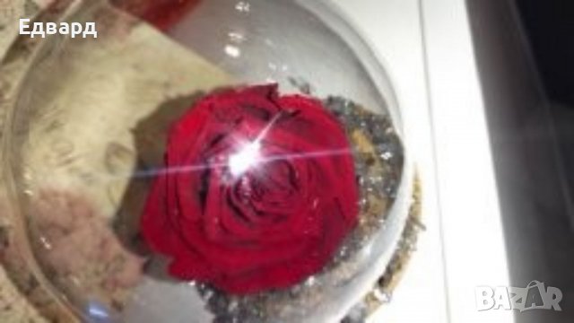 Вечна роза в стъкленица , снимка 3 - Романтични подаръци - 38007346