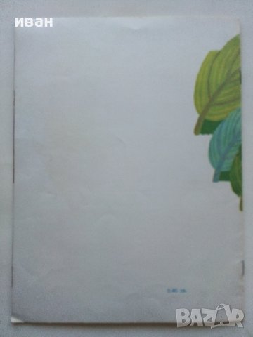 Невидимият великан - Димитър Пантелеев - 1979г., снимка 4 - Детски книжки - 43787494