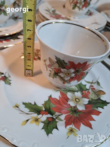 немски порцеланов сервиз за кафе дъбов лист Johann Feltmann 33/2, снимка 7 - Сервизи - 53396157