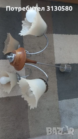 полилей  , снимка 4 - Полилеи - 50566303