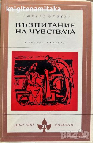 Възпитание на чувствата - Гюстав Флобер, снимка 1 - Художествена литература - 43864954