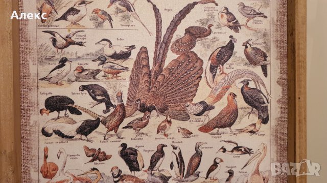 Фауна– Голяма картина, дървена рамка, 60см/ 40см, снимка 5 - Картини - 38739317