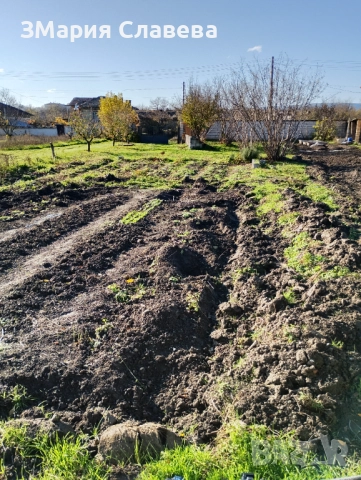 УПИ, парцел, дворно място, село Дибич , снимка 4 - Парцели - 52524995