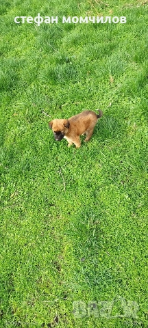 подарявам , снимка 5 - Други - 52387377