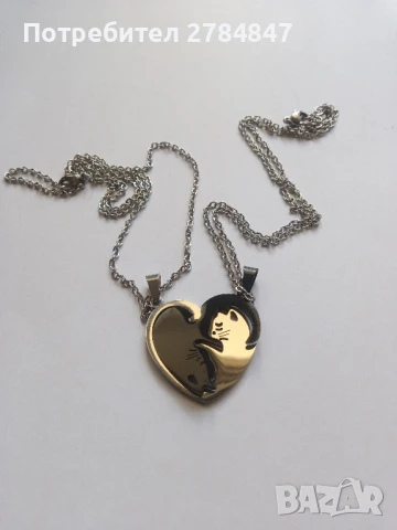 Две колиета с котки 