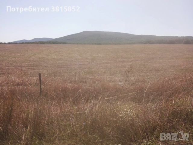 ПАРЦЕЛ ВЪВ ВИЛНА ЗОНА /Нива Кат. V/, Халваджи Дол, Равадиново, Созопол, снимка 10 - Парцели - 51763665