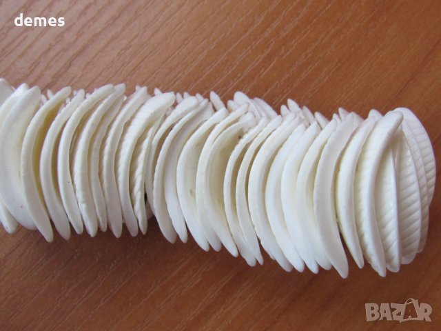 Гривна от морски миди, ластична, снимка 4 - Гривни - 37618398